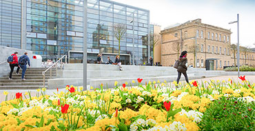 university university